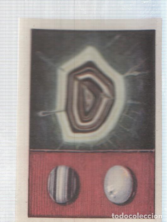 Sammelleidenschaft Sport: Cromo Nestle numerado 224: Minerales