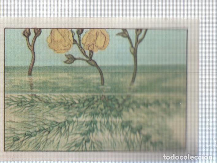 Sammelleidenschaft Sport: Cromo Nestle numerado 255: Flora