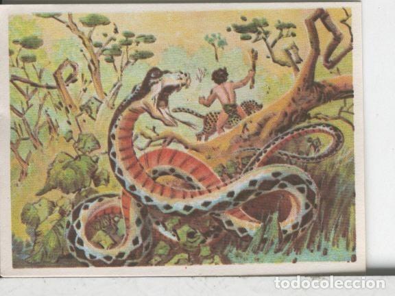 Coleccionismo deportivo: Cromos: Aventuras de Jorge, el Peque&ntilde;o Tarzan, autor Gigarpe numero 019 - Varios