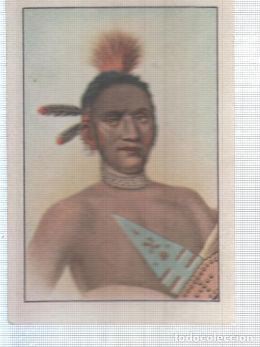 Collectionnisme sportif: Cromo Nestle numerado 278: Indigena
