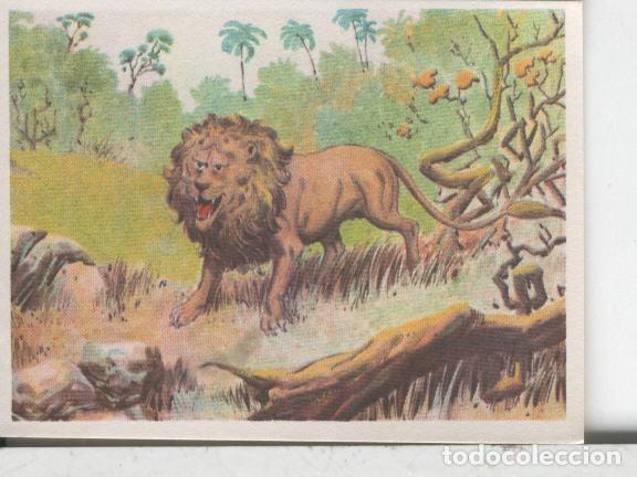 Colecionismo desportivo: Cromos: Aventuras de Jorge, el Peque&ntilde;o Tarzan, autor Gigarpe numero 038 - Varios