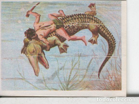 Coleccionismo deportivo: Cromos: Aventuras de Jorge, el Peque&ntilde;o Tarzan, autor Gigarpe numero 030 - Varios