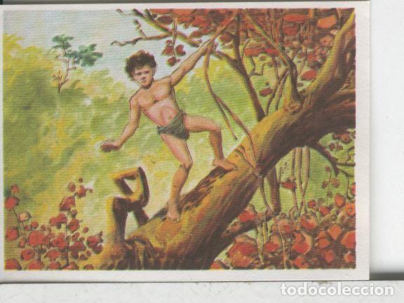 Sports collectibles: Cromos: Aventuras de Jorge, el Peque&ntilde;o Tarzan, autor Gigarpe numero 013 - Varios