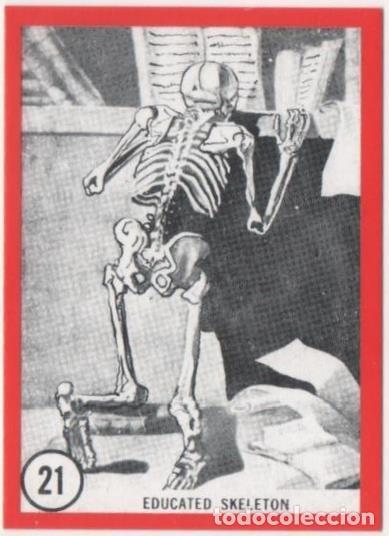 Sammelleidenschaft Sport: Cromo E01097: Album 3-Famous Monster Series, Card n&ordm; 21. Educated Skeleton - CAPTAIN CO.,