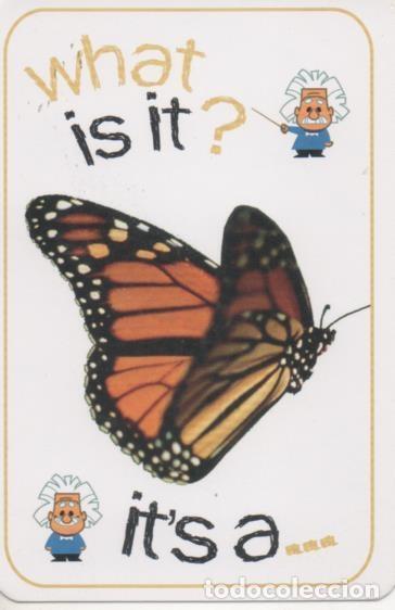 Sports collectibles: Cromo E001687: Cards. What is it?. Butterfly - NULL