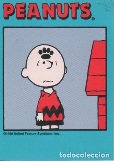 Sammelleidenschaft Sport: Cromo E003293: Trading Card. Peanuts Classics, n&ordm; 19 May 5, 1979 - M. Schulz