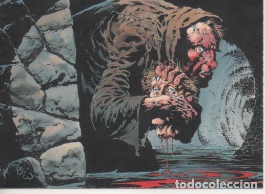 Sammelleidenschaft Sport: Cromo E003213: Trading Card, Master of the Macabre, n&ordm; 85 Stormdrain - Wrightson