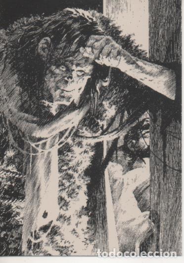 Sports collectibles: Cromo E003142: Trading Card, Frankenstein, F42, Departure - Varios