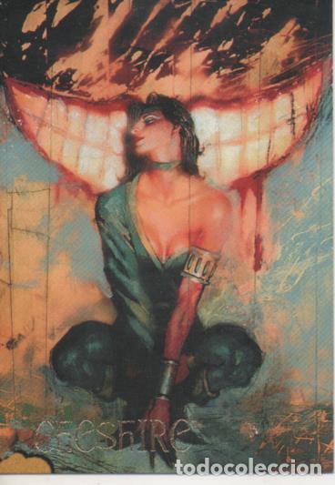 Sports collectibles: Cromo E004560: Trading Card. Skybox Villains, n&ordm; 2 Cheshire - Thom Ang