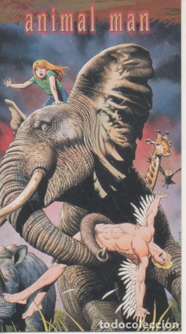Collezionismo sportivo: Cromo E004483: Trading Card. Skybox D C Comics Vertigo, n&ordm; 30 Animal Man - Brian Bolland