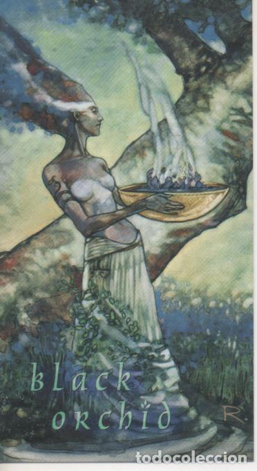 Collezionismo sportivo: Cromo E004497: Trading Card. Skybox D C Comics Vertigo, n&ordm; 58 Black Orchid - Guay & McKean