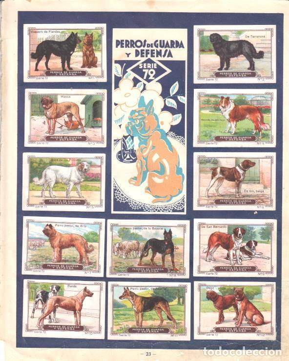 Collezionismo sportivo: Pagina Album cromos: Mi Album Nestle - Series 72/73 - Varios