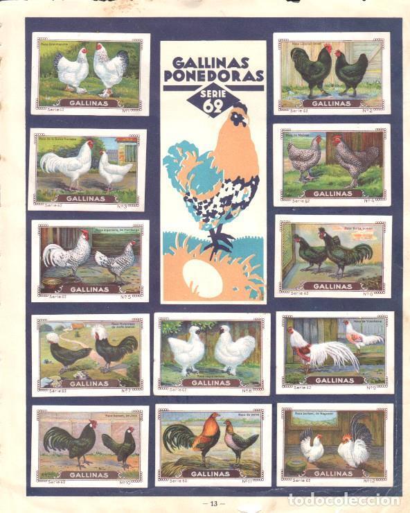 Collezionismo sportivo: Pagina Album cromos: Mi Album Nestle - Series 62/63 - Varios