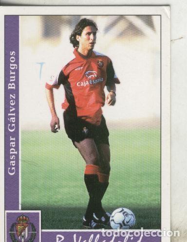 Coleccionismo deportivo: Cromos: Liga 2002: R.Valladolid: Gaspar - Varios
