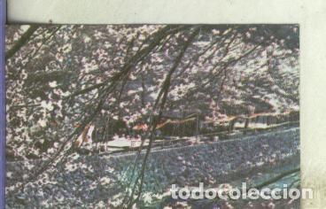 Colecionismo desportivo: Cromo: Tierras Lejanas de Nestle numero 100 - Varios