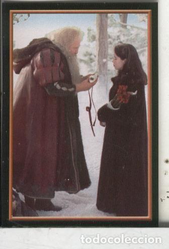 Colecionismo desportivo: Cromos: Narnia numero 073 - Varios