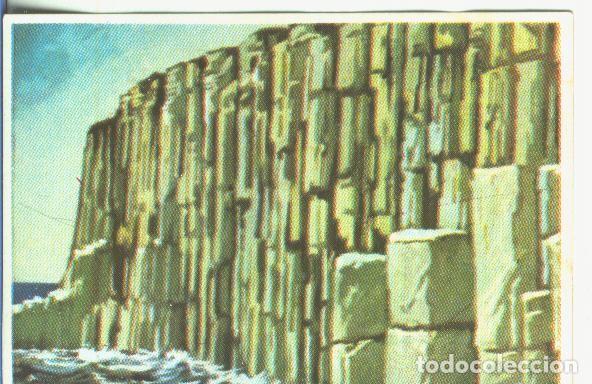 Coleccionismo deportivo: Cromos: Historia Natural numero 044 - Varios