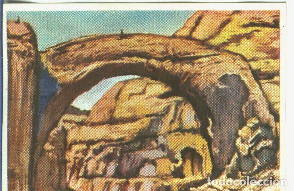 Collezionismo sportivo: Cromos: Historia Natural numero 050 - Varios