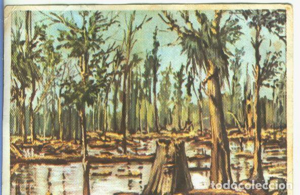 Sammelleidenschaft Sport: Cromos: Historia Natural numero 053 - Varios