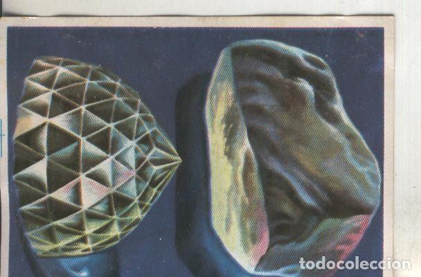 Collezionismo sportivo: Cromos: Historia Natural numero 073 - Varios