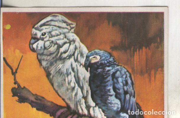 Sammelleidenschaft Sport: Cromos: Historia Natural numero 096 - Varios