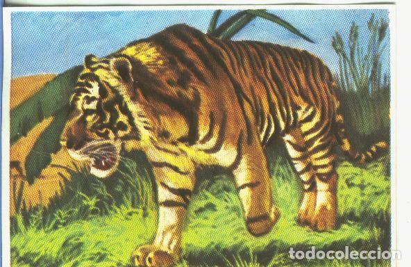 Coleccionismo deportivo: Cromos: Historia Natural numero 168 - Varios