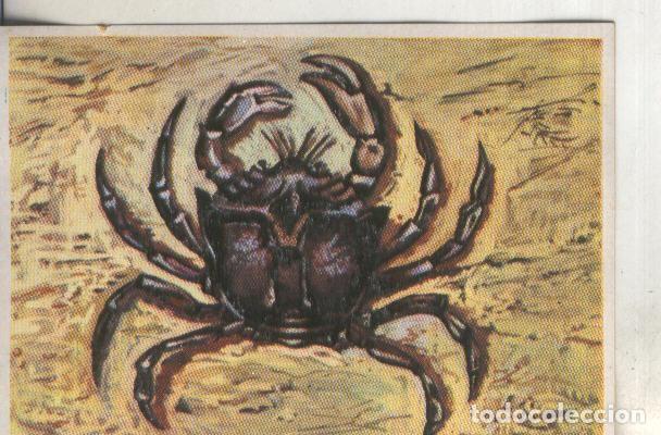 Sports collectibles: Cromos: Historia Natural numero 261 - Varios