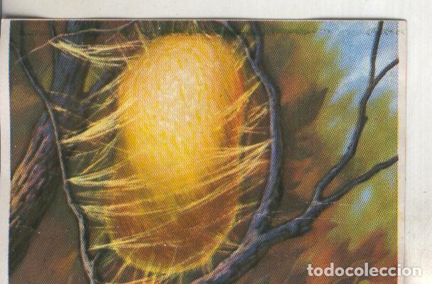 Collezionismo sportivo: Cromos: Historia Natural numero 268 - Varios