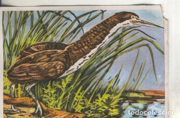 Colecionismo desportivo: Cromos: Historia Natural numero 286 - Varios