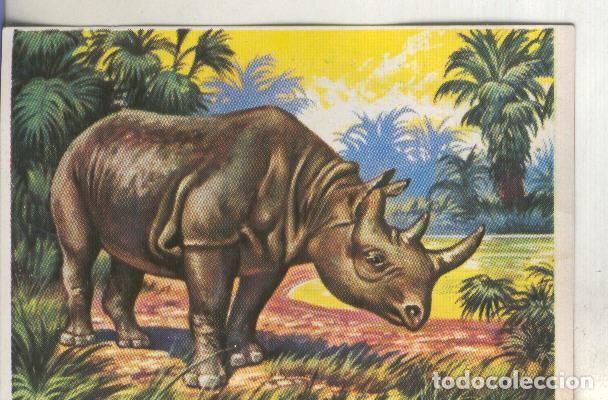 Colecionismo desportivo: Cromos: Historia Natural numero 306 - Varios