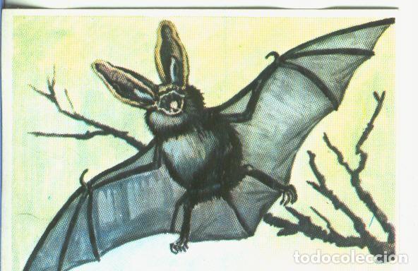 Colecionismo desportivo: Cromos: Historia Natural numero 369 - Varios