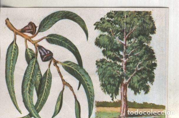 Colecionismo desportivo: Cromos: Historia Natural numero 392 - Varios