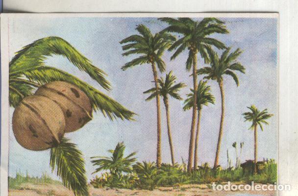 Coleccionismo deportivo: Cromos: Historia Natural numero 394 - Varios