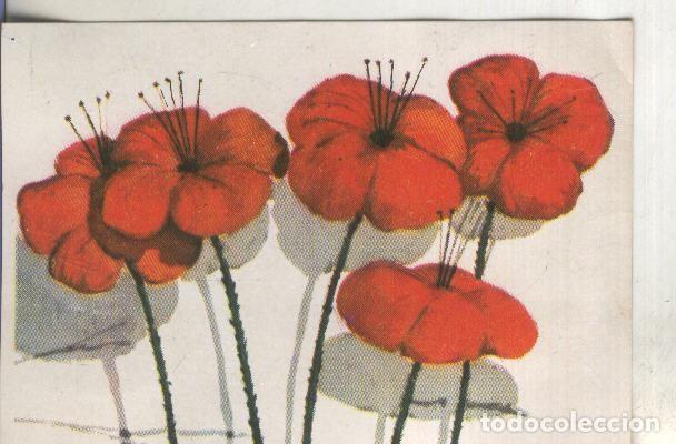 Collezionismo sportivo: Cromos: Historia Natural numero 440 - Varios