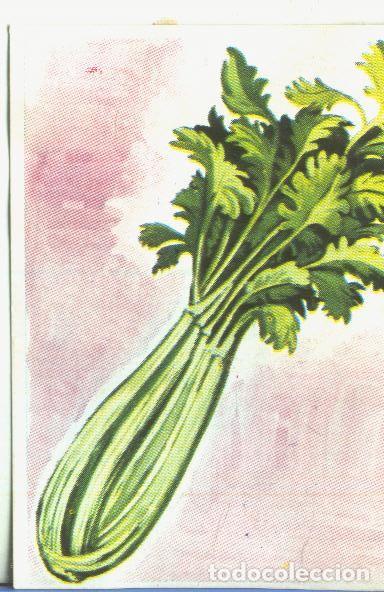 Colecionismo desportivo: Cromos: Historia Natural numero 454 - Varios