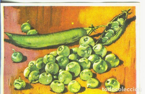 Colecionismo desportivo: Cromos: Historia Natural numero 466 - Varios