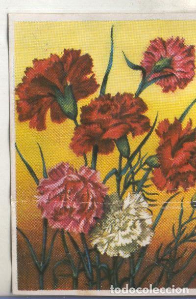 Coleccionismo deportivo: Cromos: Historia Natural numero 472 - Varios