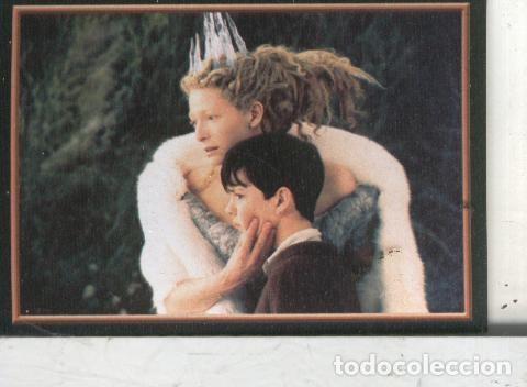 Colecionismo desportivo: Cromos: Narnia numero 086 - Varios