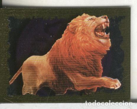 Coleccionismo deportivo: Cromos: Narnia letra L - Varios