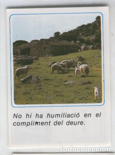 Collectionnisme sportif: Cromos: Missatges D&acute;alegria numerado 14 - Varios