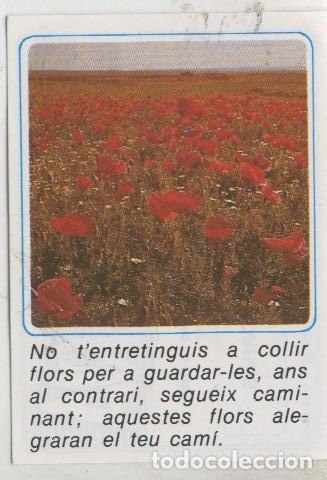 Collectionnisme sportif: Cromos: Missatges D&acute;alegria numerado 10 - Varios