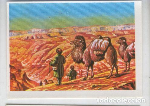 Sports collectibles: Cromos: Sabias que....? numero 44 - Varios