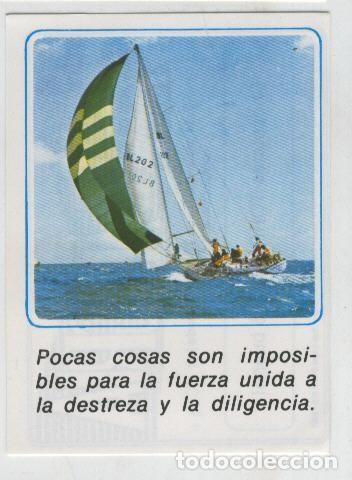 Collectionnisme sportif: Cromos: Mensajes de Alegria numerado 08 - Varios