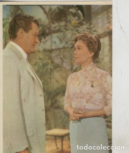 Coleccionismo deportivo: Cromos: Pollyanna numero 105 - Varios