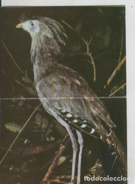 Colecionismo desportivo: Cromos: La Naturaleza y sus maravillas numero 096/097 - Varios