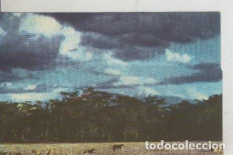 Colecionismo desportivo: Cromos: La Naturaleza y sus maravillas numero 192 - Varios