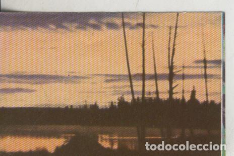 Colecionismo desportivo: Cromos: La Naturaleza y sus maravillas numero 256 - Varios