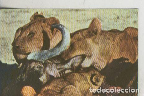 Colecionismo desportivo: Cromos: La Naturaleza y sus maravillas numero 159 - Varios