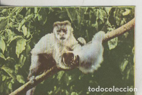 Sammelleidenschaft Sport: Cromos: La Naturaleza y sus maravillas numero 068 - Varios