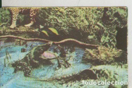 Sammelleidenschaft Sport: Cromos: La Naturaleza y sus maravillas numero 027 - Varios